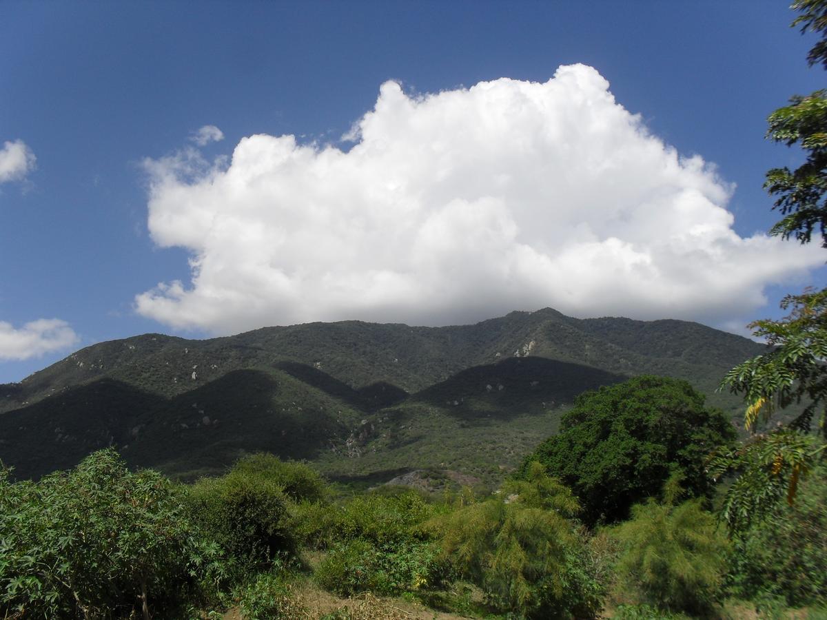 Longido Mountain Lodge 外观 照片